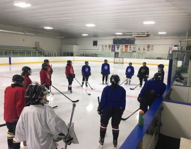 Hockey, Ontario Wellness Retreat Activity