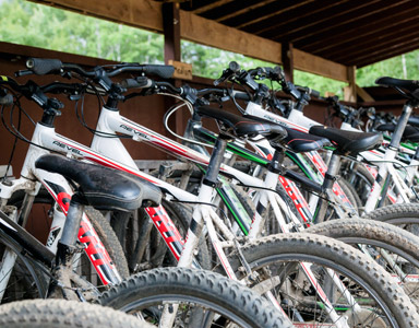 Mountain Biking, Wellness Retreat Activity